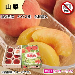 山梨県産　ハウス桃　化粧箱入 ギフト プレゼント 贈答 お取り寄せ お土産 (レビュー記入で300円OFFクーポン配布中)