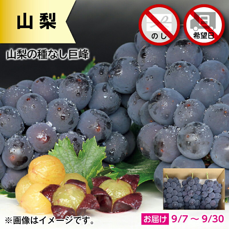 山梨の種なし巨峰 送料込み ギフト プレゼント 贈答 お取り寄せ お土産 (レビュー記入で300円OFFクーポン配布中)のサムネイル