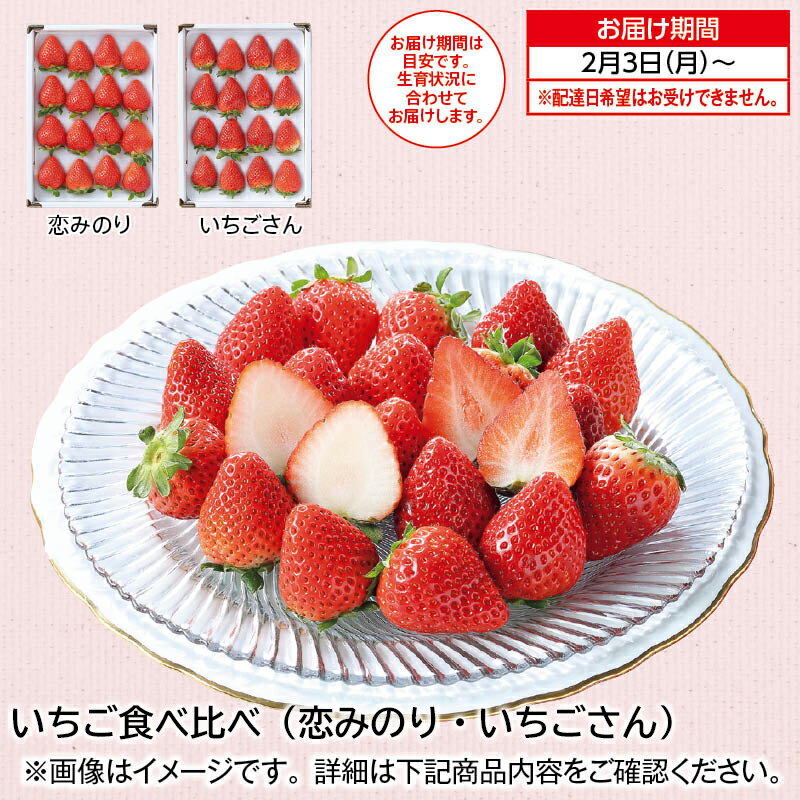 いちご食べ比べ（恋みのり・いちごさん） 送料込み ギフト プレゼント 贈答 産直 お取り寄せ お土産 (レビュー記入で300円OFFクーポン配布中)