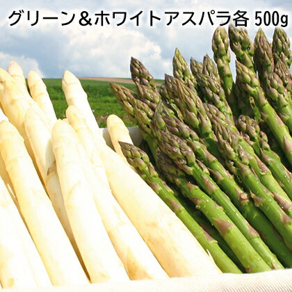 グリーン＆ホワイトアスパラ各500g ギフト プレゼント 贈答 お取り寄せ お土産 (レビュー記入で300円OF..