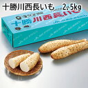 十勝川西長いも　2．5kg　5kg ギフト プレゼント 贈答 お取り寄せ お土産 (レビュー記入で300円OFFクーポン配布中)