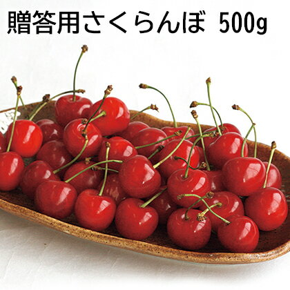 贈答用さくらんぼ 500g 500g 2 ギフト プレゼント 贈答 お取り寄せ お土産 レビュー記入で300円OFFクーポン配布中 