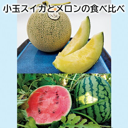 小玉スイカとメロンの食べ比べ ギフト プレゼント 贈答 お取り寄せ お土産 (レビュー記入で300円OFFクーポン配布中)のサムネイル