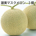 メロン 渥美マスクメロン　1.5kg×2　1.6kg×3 ギフト プレゼント 贈答 お取り寄せ お土産 (レビュー記入で300円OFFクーポン配布中)