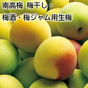 梅干しのほか、梅ジャムにも使用できる生梅です。●名称／生梅●商品内容／3kg（2Lまたは3L）　●原産地／和歌山県　※お届け日が変更になる場合があります。サイズは商品提供者にお任せください。単一サイズでお届けします。　※二重包装指定はご遠慮ください。　※注意事項※【お申込み前に必ずご確認ください】【キャンセルについて】お申し込み後のキャンセルは、原則受け付けておりません。【配送について】こちらの商品は5月15日〜7月2日の間にお届けします。また常温便でのお届けとなります。あらかじめご了承下さい。原則、配達日時の指定は受け付けておりません。土日・祝日(大型連休)を挟む場合や天候・農産物の生育状況によってはお届けが遅れる場合がございます。なお、お受け取り頂けない商品につきましては、再発送、ご返金、ポイントの返却は致しかねます。予めご了承下さい。また、消費・賞味期間5日以内の商品をお申し込みの場合は、お届けが消費・賞味期間最終日になることがありますのでご了承下さい。【配達不可地域について】島しょ及び山間部の一部地域へのお届けについては、受付ができませんのでご了承ください。【他商品との同送】こちらの商品は他の商品との同送ができません。【季節の贈り物に】 お年賀 迎春 お正月 年末年始 バレンタイン ホワイトデー 卒業式 卒園式 入学式 入園式 母の日 父の日 御中元 お中元 暑中御見舞 残暑御見舞 敬老の日 ハロウィン クリスマス 冬ギフト お歳暮 御歳暮 【ちょっとした手土産・プレゼントに】 御祝 御礼 謝礼 御挨拶 粗品 お使い物 贈答品 ギフト プレゼント お土産 手土産 贈りもの 進物 お返し 【お祝い・お返しの品に】 引き出物 お祝い 内祝 結婚祝 結婚内祝 出産祝 出産内祝 引き菓子 快気祝 快気内祝 プチギフト 結婚引出物 七五三 卒業祝い 卒園祝い 入学祝い 入園祝い 進学内祝 入学内祝 寿 開店祝 開業祝 新築祝 【長寿・結婚記念日のお祝いに】 還暦祝 古希祝 喜寿祝 米寿祝 白寿祝 銀婚式 金婚式 【年忌法要など仏事の品に】 御霊前 御仏前 お盆 新盆 初盆 お彼岸 法事 法要 仏事 弔事 志 粗供養 満中陰志 御供 御供物 お供え お悔やみ 命日 月命日 葬儀 仏壇 お墓参り 香典返し