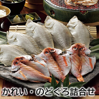 山陰沖の鮮度、脂のりの良い日本海産の魚を一夜干しにしました。磯の香りの美味しさをお召し上がりください。●名称／魚介類加工品●原材料／えてがれい(宗八ガレイ)、のどぐろ(アカムツ)、食塩/酸化防止剤(V.C)●保存方法／要冷蔵(5℃以下)●製造者名or加工業者名＋住所／大海株式会社(鳥取県境港市昭和町12−18)●商品内容／えてがれい（ソウハチ）360g（4〜5枚）、のどぐろ（アカムツ）280g（4〜5枚）　●原料原産地／ソウハチ・アカムツ＝山陰沖産　●賞味期間／冷蔵で7日　※二重包装指定はご遠慮ください。　※注意事項※【お申込み前に必ずご確認ください】【キャンセルについて】お申し込み後のキャンセルは、原則受け付けておりません。【配送について】こちらの商品は1週間〜10日程度でお届けします。また冷蔵便でのお届けとなります。あらかじめご了承下さい。原則、配達日時の指定は受け付けておりません。土日・祝日(大型連休)を挟む場合や天候・農産物の生育状況によってはお届けが遅れる場合がございます。なお、お受け取り頂けない商品につきましては、再発送、ご返金、ポイントの返却は致しかねます。予めご了承下さい。また、消費・賞味期間5日以内の商品をお申し込みの場合は、お届けが消費・賞味期間最終日になることがありますのでご了承下さい。【配達不可地域について】島しょ及び山間部の一部地域へのお届けについては、受付ができませんのでご了承ください。【他商品との同送】こちらの商品は他の商品との同送ができません。【季節の贈り物に】 お年賀 迎春 お正月 年末年始 バレンタイン ホワイトデー 卒業式 卒園式 入学式 入園式 母の日 父の日 御中元 お中元 暑中御見舞 残暑御見舞 敬老の日 ハロウィン クリスマス 冬ギフト お歳暮 御歳暮 【ちょっとした手土産・プレゼントに】 御祝 御礼 謝礼 御挨拶 粗品 お使い物 贈答品 ギフト プレゼント お土産 手土産 贈りもの 進物 お返し 【お祝い・お返しの品に】 引き出物 お祝い 内祝 結婚祝 結婚内祝 出産祝 出産内祝 引き菓子 快気祝 快気内祝 プチギフト 結婚引出物 七五三 卒業祝い 卒園祝い 入学祝い 入園祝い 進学内祝 入学内祝 寿 開店祝 開業祝 新築祝 【長寿・結婚記念日のお祝いに】 還暦祝 古希祝 喜寿祝 米寿祝 白寿祝 銀婚式 金婚式 【年忌法要など仏事の品に】 御霊前 御仏前 お盆 新盆 初盆 お彼岸 法事 法要 仏事 弔事 志 粗供養 満中陰志 御供 御供物 お供え お悔やみ 命日 月命日 葬儀 仏壇 お墓参り 香典返し