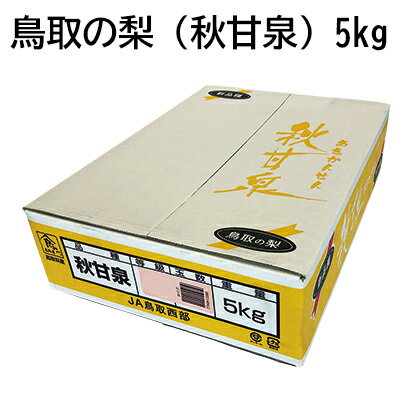 鳥取の梨 秋甘泉 5kg ギフト プレゼント 贈答 お取り寄せ お土産 レビュー記入で300円OFFクーポン配布中 