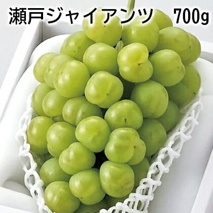 瀬戸ジャイアンツ　700g ギフト プレゼント 贈答 お取り寄せ お土産 (レビュー記入で300円OFFクーポン配布中)