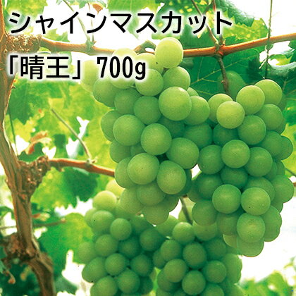 シャインマスカット 晴王 700g 1kg ギフト プレゼント 贈答 お取り寄せ お土産 レビュー記入で300円OFFクーポン配布中 