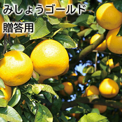 みしょうゴールド　贈答用 ギフト プレゼント 贈答 お取り寄せ お土産 (レビュー記入で300円OFFクーポン配布中)