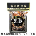 焼豚 鹿児島県産黒豚チャーシュー　1本　2本 ギフト プレゼント 贈答 お取り寄せ お土産 (レビュー記入で300円OFFクーポン配布中)