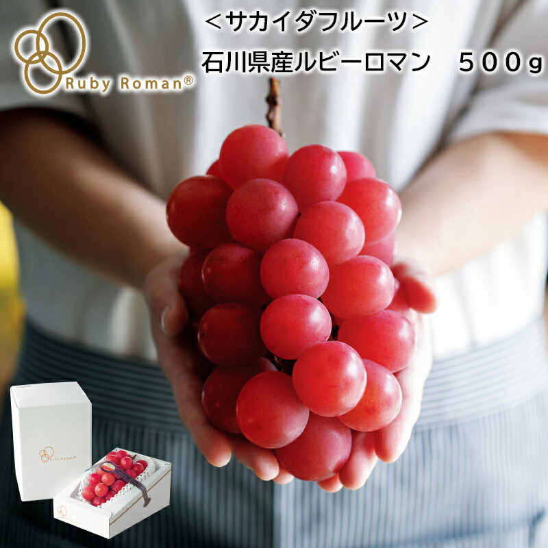 ＜サカイダフルーツ＞石川県産ルビーロマン　500g　700g 送料込み ギフト プレゼント 贈答 お取り寄せ お土産 お中元 (レビュー記入で300円OFFクーポン配布中)のサムネイル