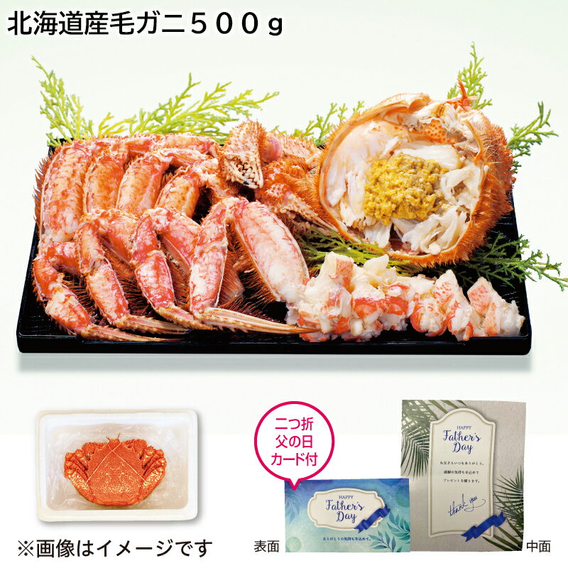 毛ガニ 早割 5/21まで！父の日 2024 北海道産毛ガニ500g 送料込み ギフト プレゼント 贈答 お取り寄せ お土産 父の日 (レビュー記入で300円OFFクーポン配布中)