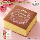 【母の日】 <文明堂東京>母の日OMカステラ1号 送料込み ギフト プレゼント 贈答 お取り寄せ お土産 (レビュー記入で300円OFFクーポン配布中)