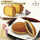 【母の日】 <文明堂東京>月三笠・カステラ巻詰合せ10個 送料込み ギフト プレゼント 贈答 お取り寄せ お土産 (レビュー記入で300円OFFクーポン配布中)