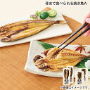 骨まで食べられる焼き魚A 送料込み ギフト プレゼント 贈答 お取り寄せ お土産 (レビュー記入で300円OFFクーポン配布中)