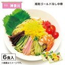 湘南ゴールド冷し中華 送料込み ギフト プレゼント 贈答 お取り寄せ お土産 (レビュー記入で300円OFFクーポン配布中)