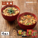 宮崎辛麺セット 送料込み ギフト プレゼント 贈答 お取り寄せ お土産 (レビュー記入で300円OFFクーポン配布中)