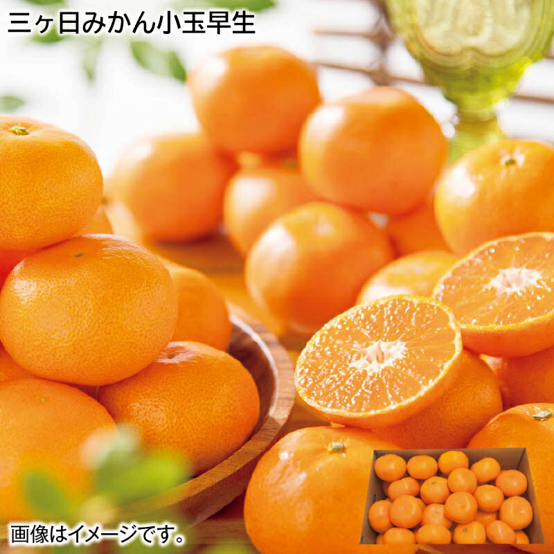 【ご自宅用】 三ヶ日みかん 小玉早生 送料込み ギフト プレゼント 贈答 お取り寄せ お土産 (レビュー記入で300円OFFクーポン配布中)のサムネイル
