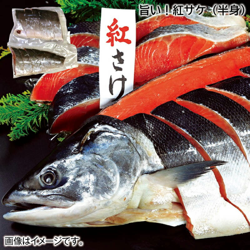 早割期間中！旨い！紅サケ 半身 一本 お歳暮 2024 冬ギフト 送料込 ギフト 贈答 産直 お取り寄せ お土産 (レビュー記入で300円OFFクーポン配布中)