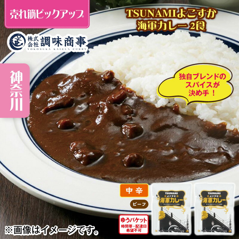 TSUNAMI よこすか海軍カレー 2食 送料込み ギフト プレゼント 贈答 お取り寄せ お土産 (レビュー記入で300円OFFクーポン配布中)