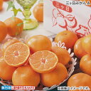 お歳暮 冬ギフト 三ヶ日みかん A B 送料込み ギフト プレゼント 贈答 お取り寄せ お土産 (レビュー記入で300円OFFクーポン配布中)