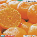 お歳暮 冬ギフト 有田みかん 3kg 5kg 送料込み ギフト プレゼント 贈答 お取り寄せ お土産 (レビュー記入で300円OFFクーポン配布中)