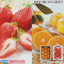 早割期間中!11/28まで【通常価格5,290円⇒4,990円】お歳暮 冬ギフト あまおう苺とみかん詰合せ 送料込み ギフト プレゼント 贈答 お取り寄せ お土産 (レビュー記入で300円OFFクーポン配布中)|詳細画像