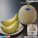 お歳暮 マスクメロン 1個 2個 冬ギフト 送料込み ギフト プレゼント 贈答 お取り寄せ お土産 (レビュー記入で300円OFFクーポン配布中)