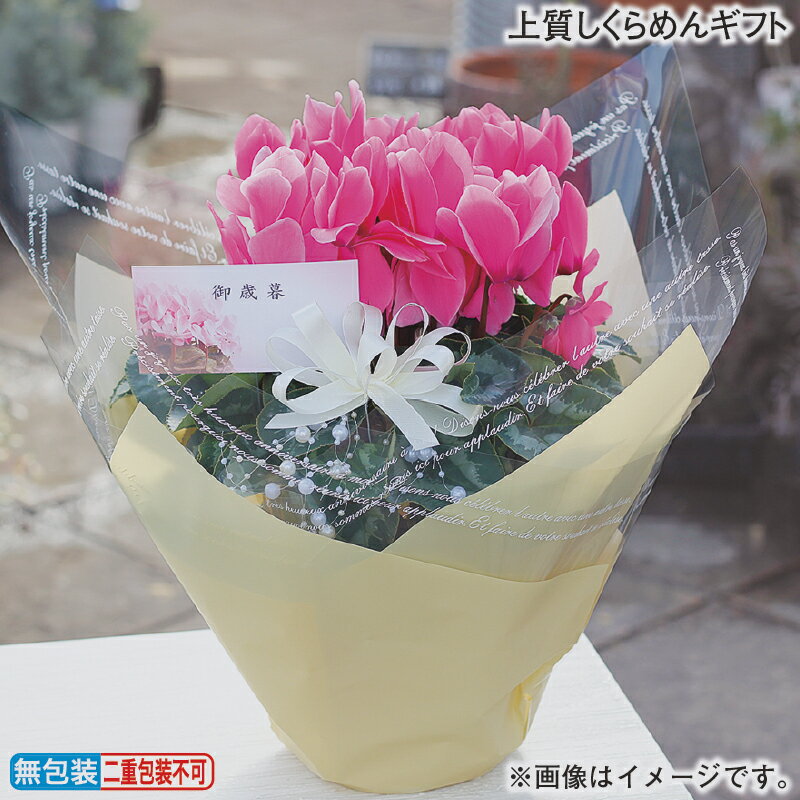 上質しくらめんギフト 送料込み ギフト プレゼント 贈答 お取り寄せ お土産 (レビュー記入で300円OFFクーポン配布中)