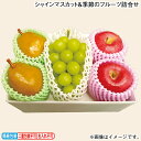 お歳暮 シャインマスカット&季節のフルーツ詰合せ 冬ギフト 送料込み ギフト プレゼント 贈答 お取り寄せ お土産 (レビュー記入で300円OFFクーポン配布中)