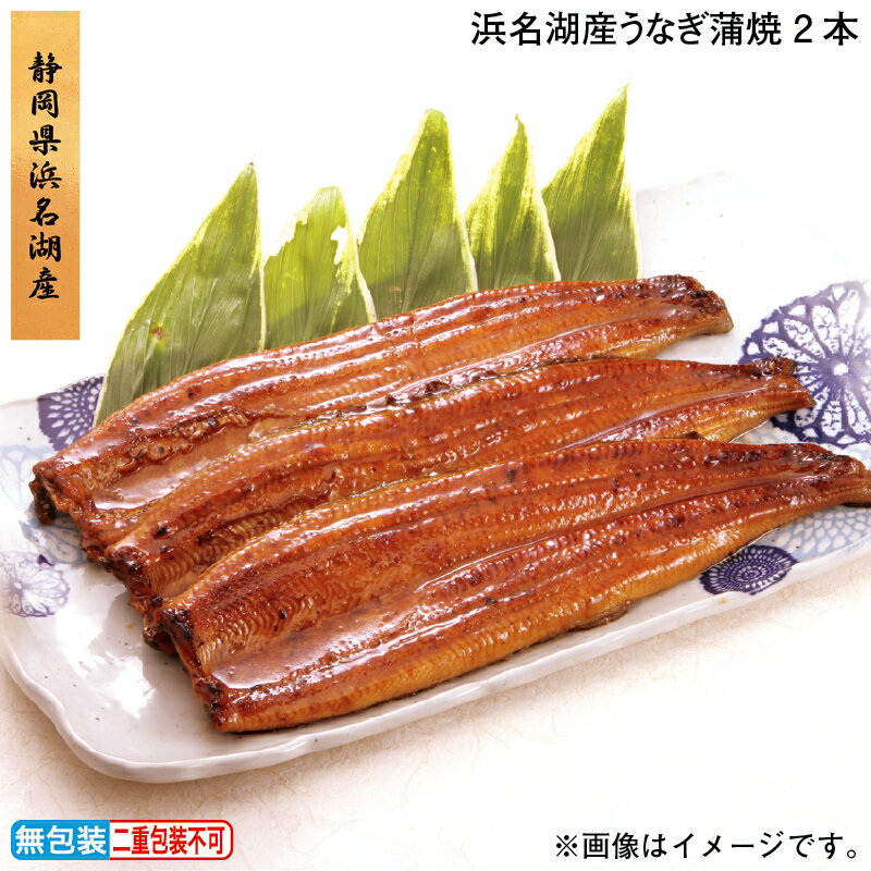 お歳暮 浜名湖産うなぎ蒲焼 2本 3本 冬ギフト 送料込み ギフト プレゼント 贈答 お取り寄せ お土産 (レビュー記入で300円OFFクーポン配布中)