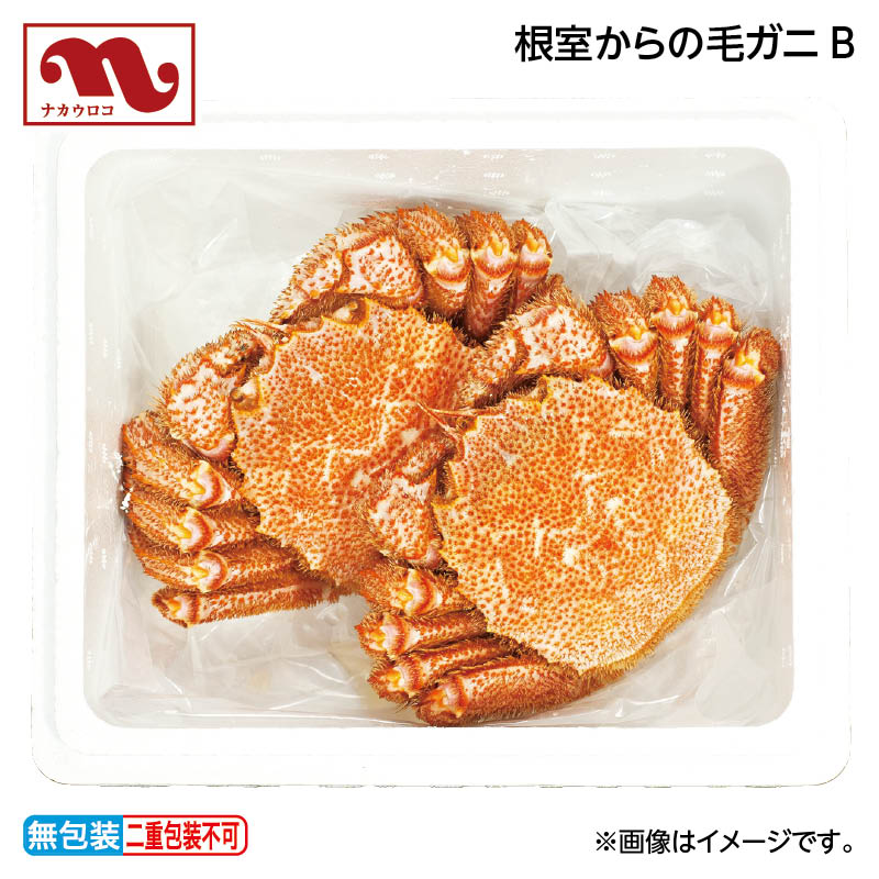 早割期間中！11/28まで【通常価格12,200円⇒11,000円】お歳暮 根室からの毛ガニA 送料込み ギフト プレゼント 贈答 お取り寄せ お土産 (レビュー記入で300円OFFクーポン配布中)