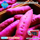 お歳暮 五郎島金時さつまいも5kg 秀S 送料込み ギフト プレゼント 贈答 お取り寄せ お土産 (レビュー記入で300円OFFクーポン配布中)
