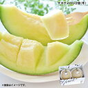 早割期間中!11/28まで【通常価格6,300円⇒5,780円】お歳暮 マスクメロン2個(冬) 送料込み ギフト プレゼント 贈答 お取り寄せ お土産 (レビュー記入で300円OFFクーポン配布中)