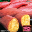 早割期間中!11/28まで【通常価格3,200円⇒2,880円】お歳暮 なると金時 送料込み ギフト プレゼント 贈答 お取り寄せ お土産 (レビュー記入で300円OFFクーポン配布中)