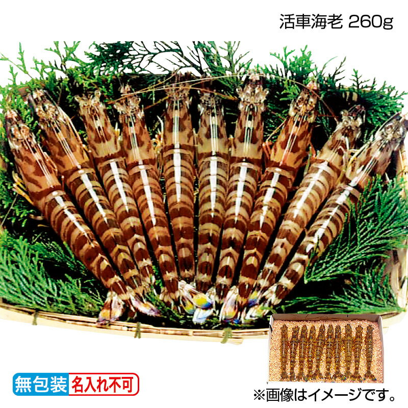  ֳϷ 260g 340g  ե ץ쥼 £  ڻ (ӥ塼300OFFݥ)