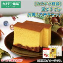 <カステラ銀装>栗かすてら・長寿カステラセット 送料込み ギフト プレゼント 贈答 お取り寄せ お土産 (レビュー記入で300円OFFクーポン配布中)