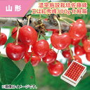 【ハウス】温室施設栽培佐藤錦又は紅秀峰300g 化粧箱 さくらんぼ 送料込み ギフト プレゼント 贈答 お取り寄せ お土産 (レビュー記入で300円OFFクーポ...