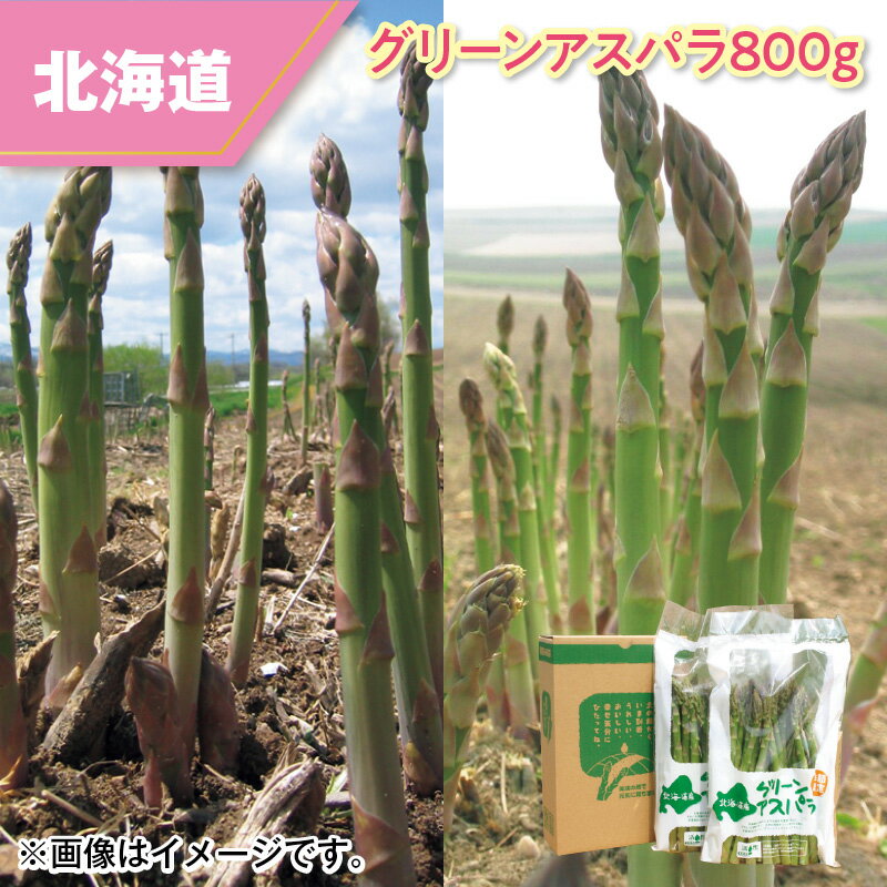 グリーンアスパラ 800g 1.2kg 送料込み ギフト プレゼント 贈答 お取り寄せ お土産 (レビュー記入で300円OFFクーポン配布中)