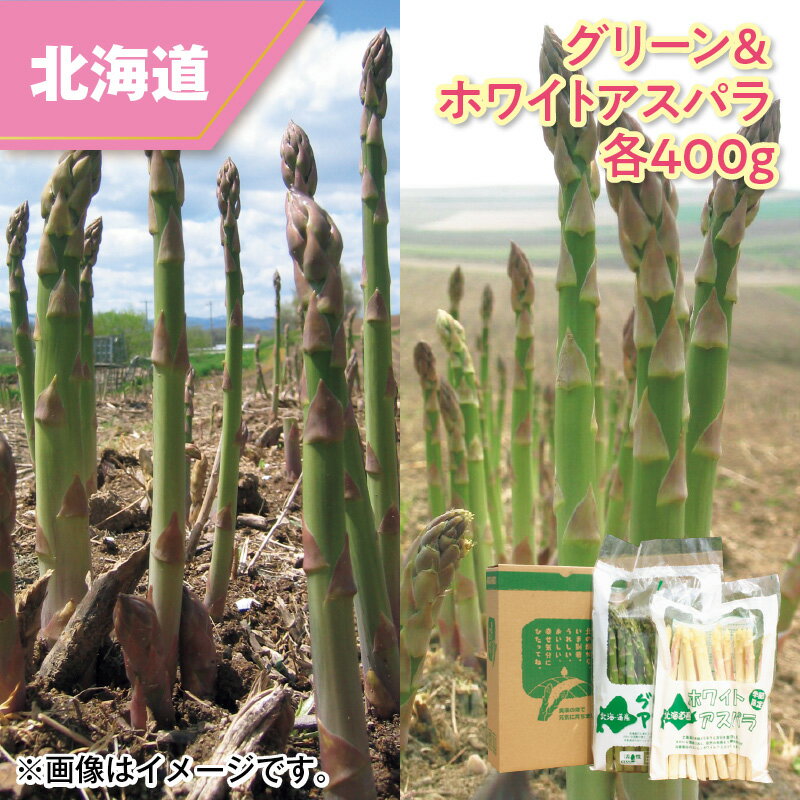 グリーン&ホワイトアスパラ 各400g 送料込み ギフト プレゼント 贈答 お取り寄せ お土産 (レビュー記入で300円OFFクーポン配布中)