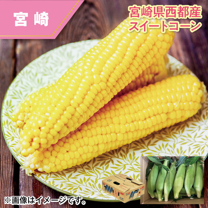 宮崎県西都産 スイートコーン 送料込み ギフト プレゼント 贈答 お取り寄せ お土産 (レビュー記入で300円OFFクーポン配布中)