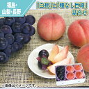 「白桃」と「種なし巨峰」詰合せ 桃 送料込み ギフト プレゼント 贈答 お取り寄せ お土産 (レビュー記入で300円OFFクーポン配布中)
