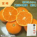 極早生みかん 南国の陽蜜「陽宝」 南国の陽蜜 みかん 送料込み ギフト プレゼント 贈答 お取り寄せ お土産 (レビュー記入で300円OFFクーポン配布中)