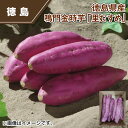 徳島県産 鳴門金時芋「里むすめ」 送料込み ギフト プレゼント 贈答 お取り寄せ お土産 (レビュー記入で300円OFFクーポン配布中)