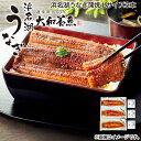 浜名湖うなぎ蒲焼 Lサイズ3本 Lサイズ2本 Mサイズ2本 送料込み ギフト プレゼント 贈答 お取り寄せ お土産 (レビュー記入で300円OFFクーポン配布中...