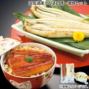 浜名湖産うなぎ白焼・蒲焼セット 送料込み ギフト プレゼント 贈答 お取り寄せ お土産 (レビュー記入で300円OFFクーポン配布中)