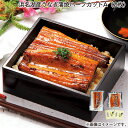 浜名湖産うなぎ蒲焼ハーフカット A(2枚) B(3枚) 送料込み ギフト プレゼント 贈答 お取り寄せ お土産 (レビュー記入で300円OFFクーポン配布中)