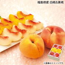 福島県産 白桃&黄桃 送料込み ギフト プレゼント 贈答 お取り寄せ お土産 (レビュー記入で300円OFFクーポン配布中)