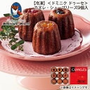 【冷凍】<ドミニク ドゥーセ>カヌレ・シュープリーズ9個入 送料込み ギフト プレゼント 贈答 お取り寄せ お土産 (レビュー記入で300円OFFクーポン配布中...